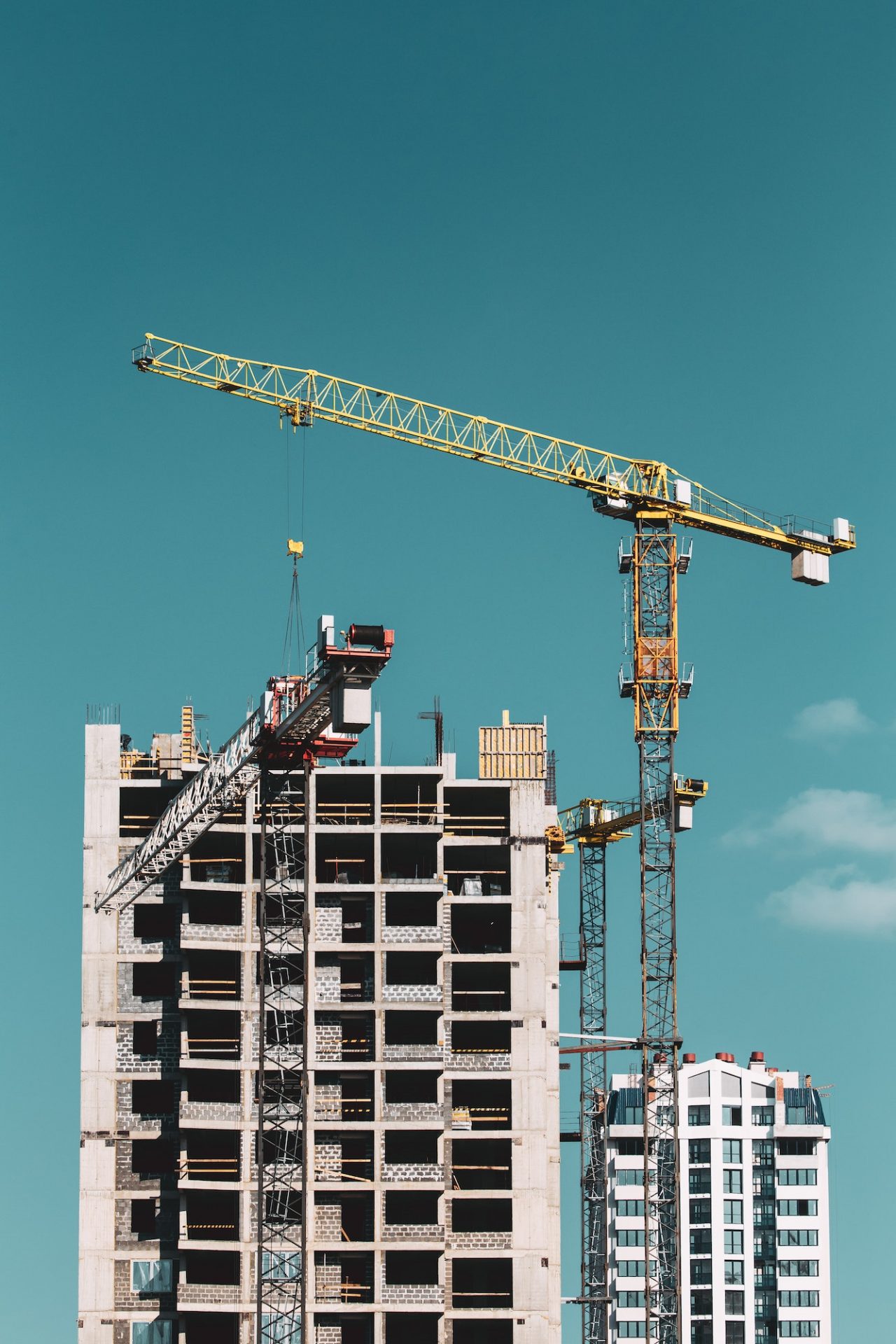 high rise building and cane